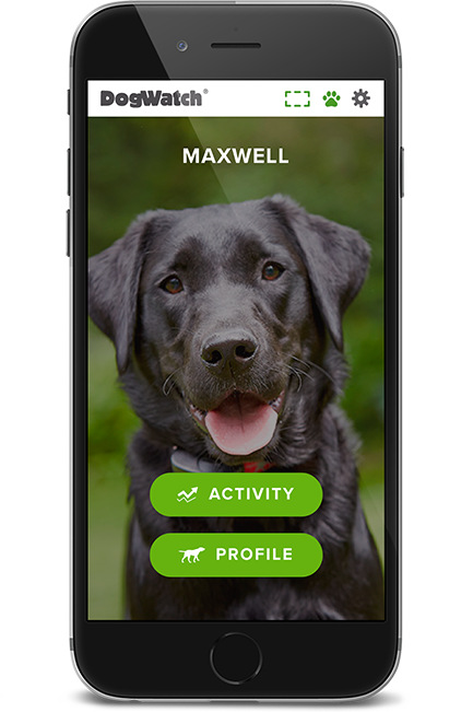 DogWatch of Evansville, Evansville, Indiana | SmartFence WebApp Image