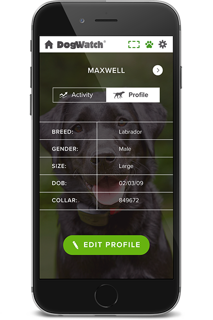 DogWatch of Evansville, Evansville, Indiana | SmartFence WebApp Image