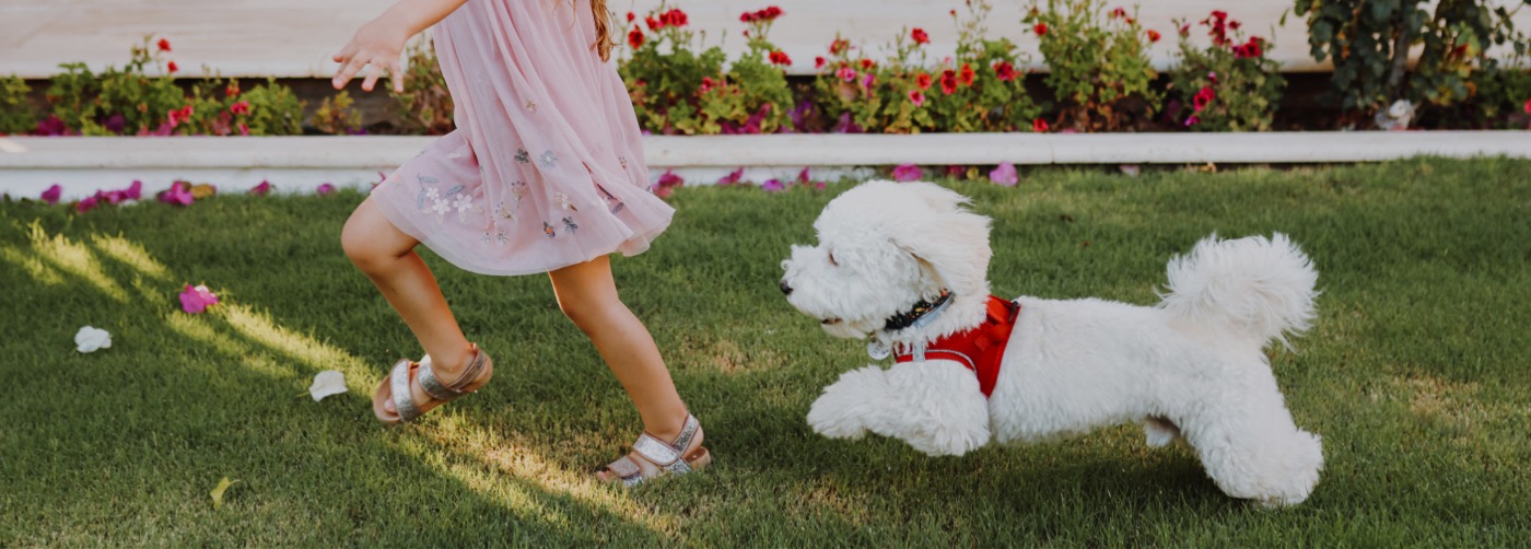 DogWatch of Evansville, Evansville, Indiana | Outdoor Hidden Dog Fences Slider Image